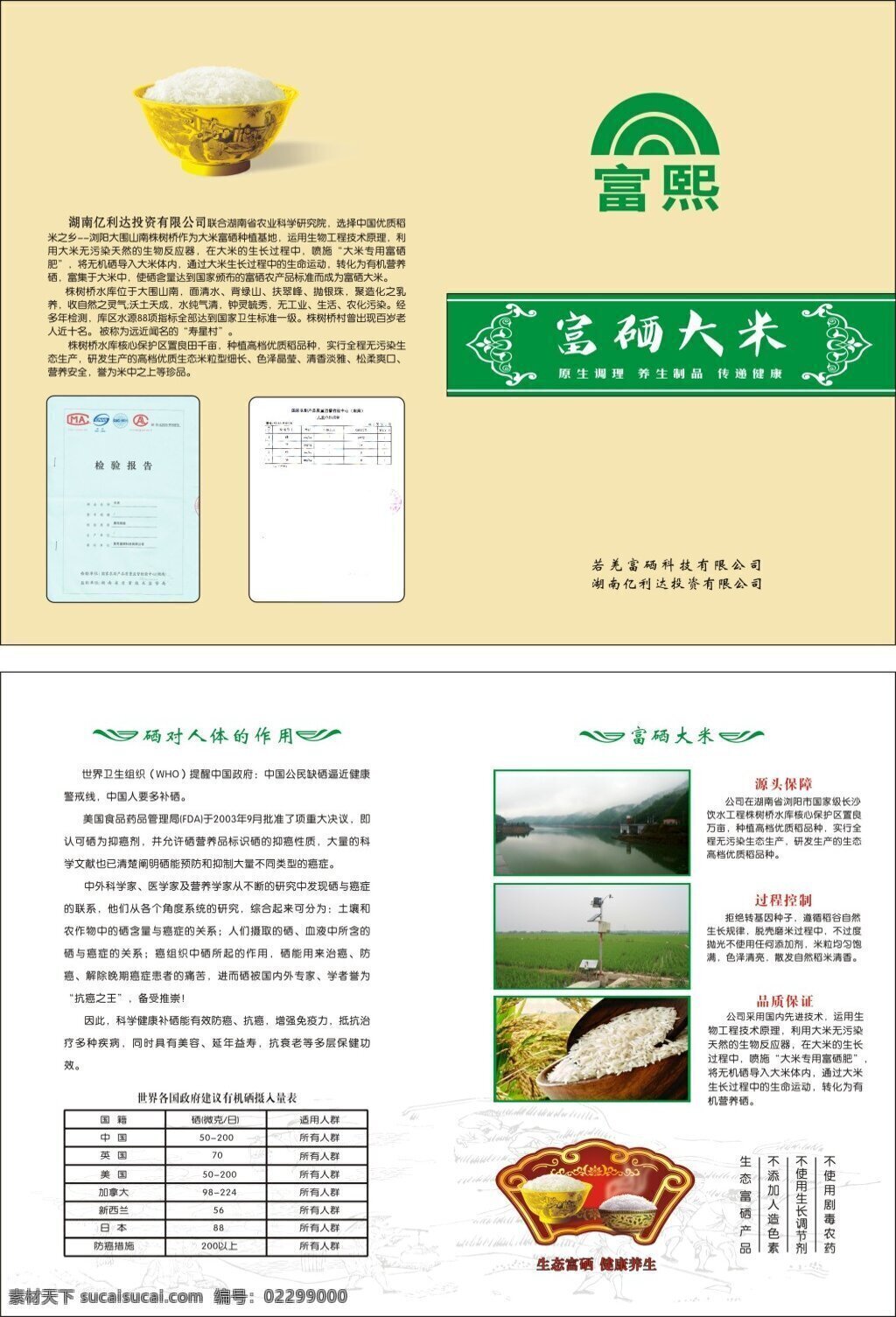 大米折页 富硒大米 生态环保 源文件 双丰 米业 宣传 彩页 模板下载 大米 折页 白色
