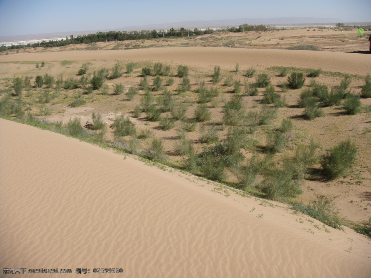 腾格里大沙漠 景观 沙生植物梭梭 沙漠治理成果 自然风景 自然景观
