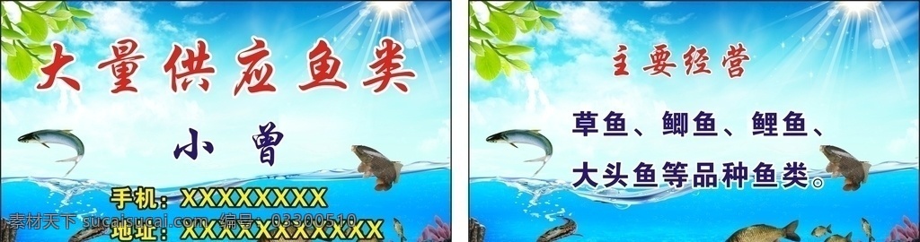大量 供应 鱼类 名片 大量供应 鱼类名片
