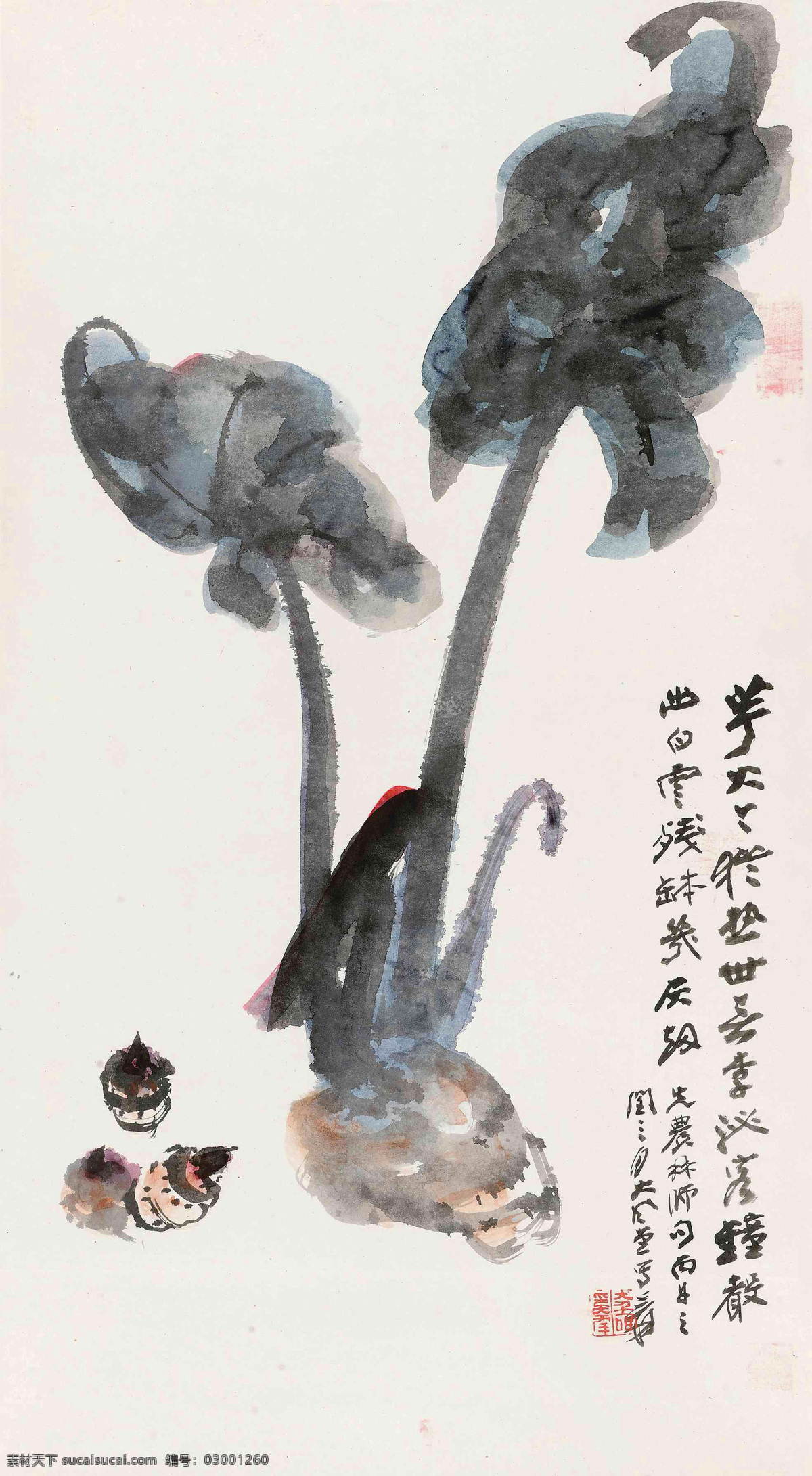 张大千 国画 山芋 芋头 绘画书法 文化艺术 国画张大千