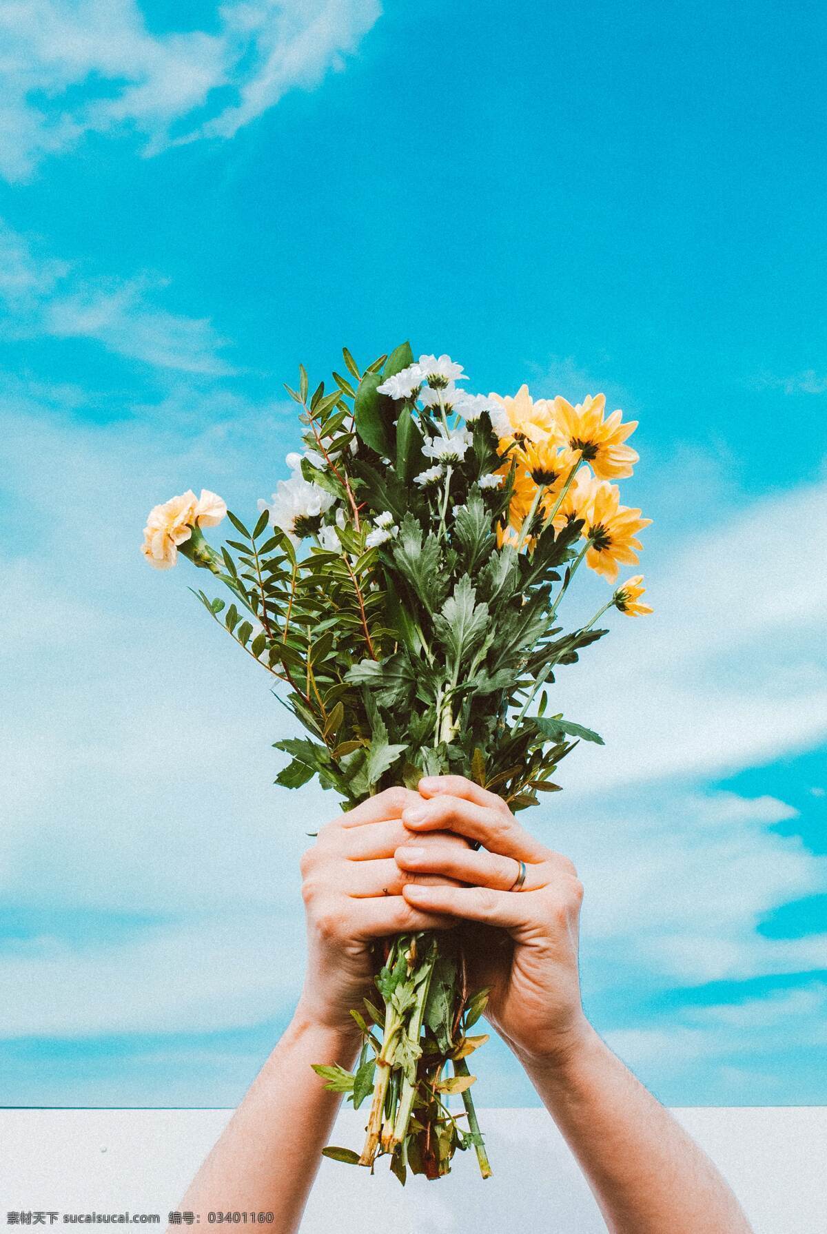 菊花 花束 情人节 花 春天 送花 生物世界 花草