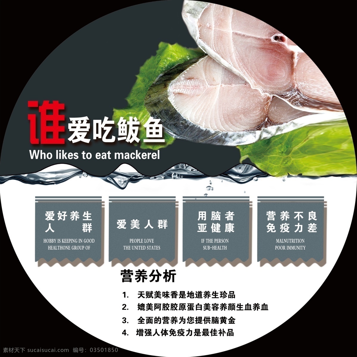 饺子 鲅鱼馅 鲅鱼营养分析 鲅鱼饺子 分层