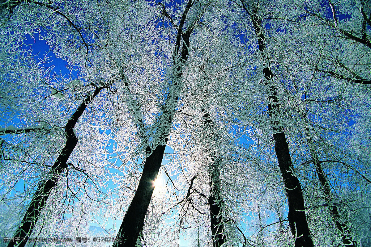 冬天 雪景 背景 冬天雪景 风光 风景 季节 摄影图库 自然 自然风景 自然景观 生活 旅游餐饮