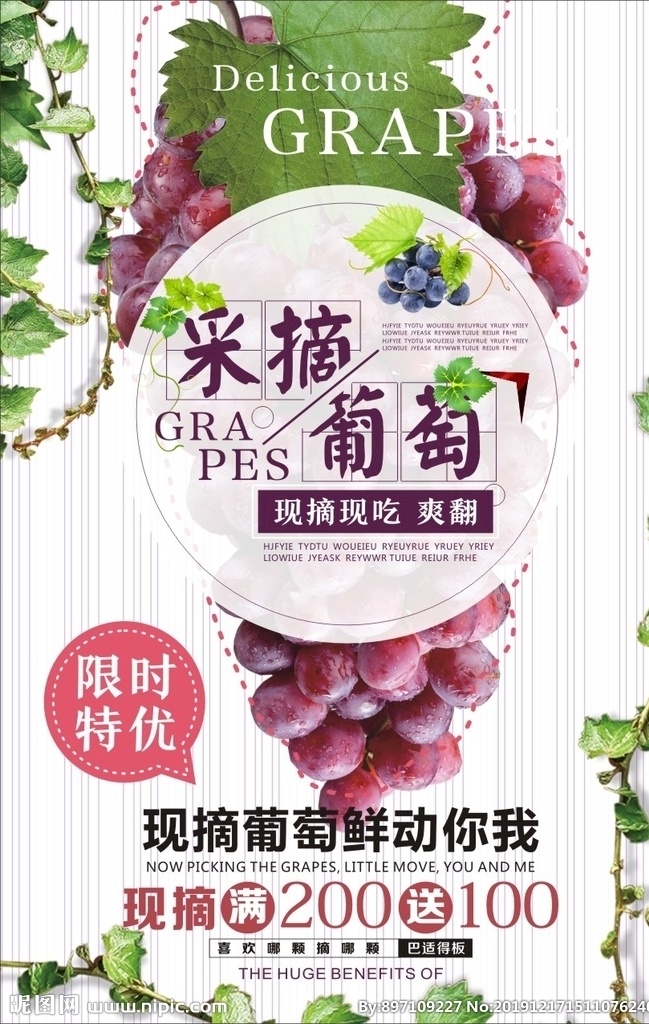 葡萄采摘 葡萄 海报 紫色 水果 熟了