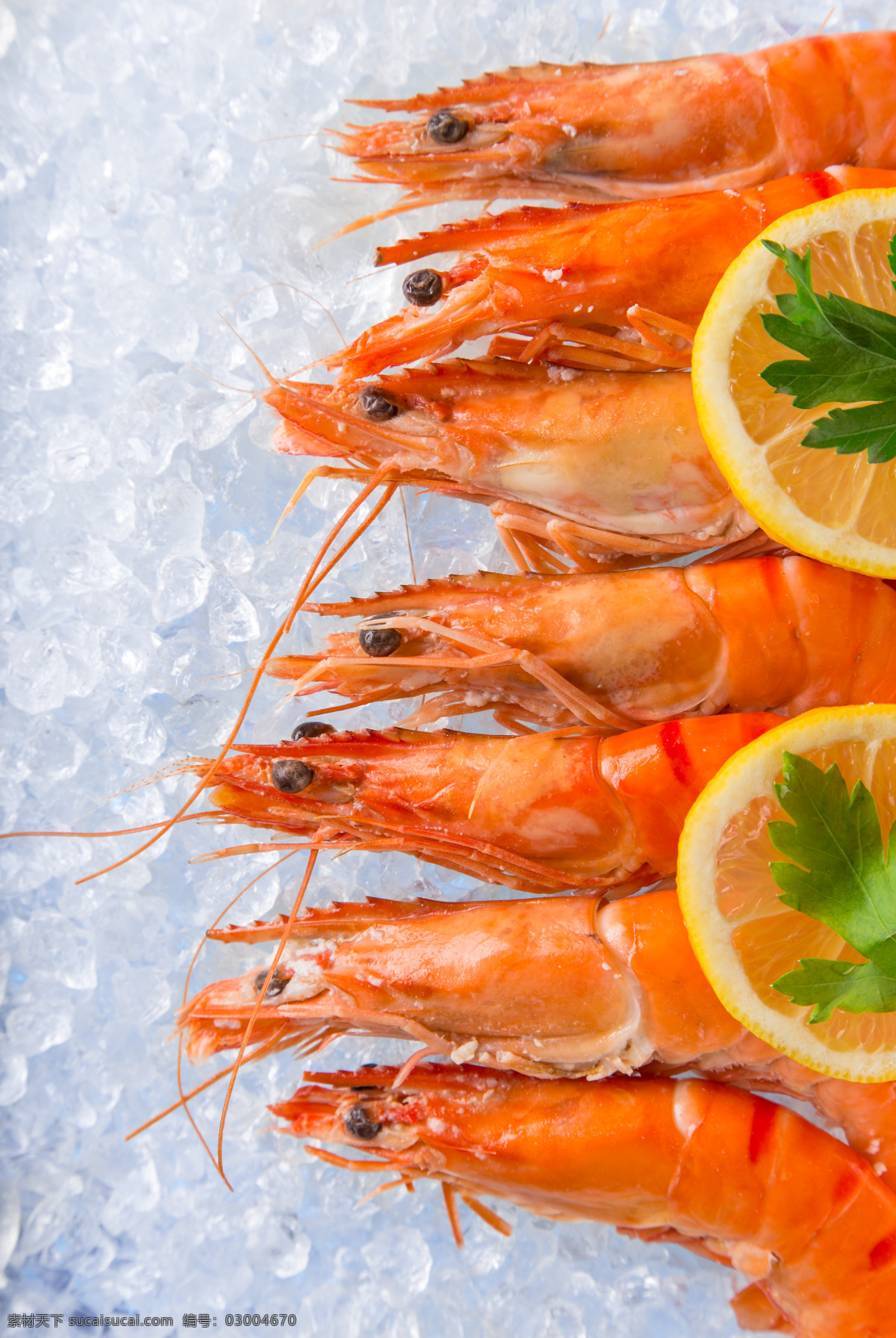 大虾 虾仁 红虾 海鲜 海虾 蒸虾 虾 生物世界 海洋生物 餐饮美食 西餐美食