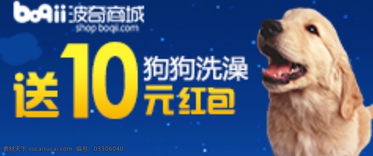 狗 洗澡 banner 推广图 动物 蓝色