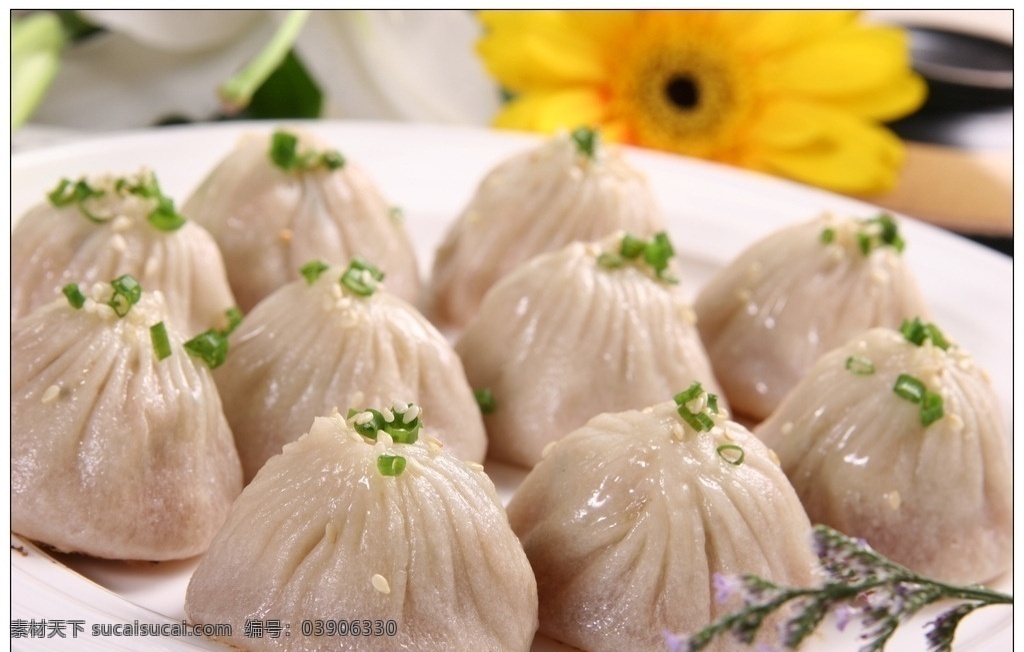 上海煎汤包 美食摄影 传统菜 家常菜 传统美食 菜 餐饮美食