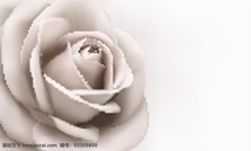 玫瑰花 花环 装饰 情人节 绿叶 叶子 粉色花朵 矢量 高清图片