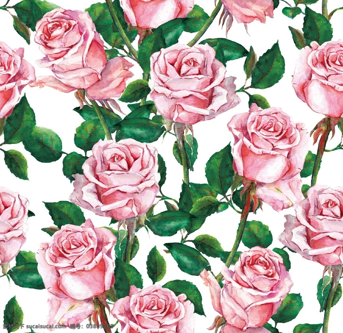 大朵玫瑰花 玫瑰花 数码印花 无缝图案 玫瑰 手绘玫瑰 手绘花 服装印花 女装花型