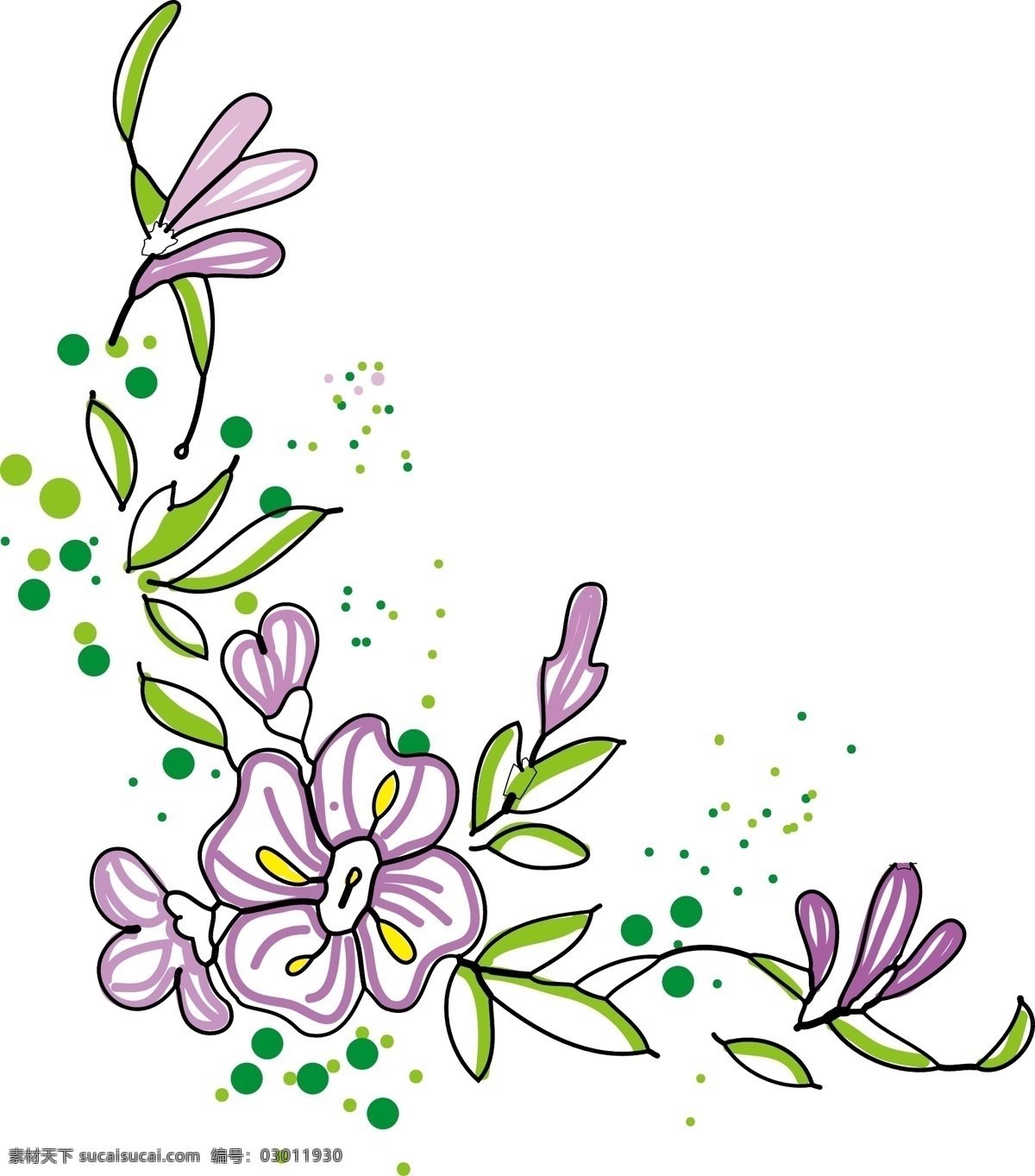 花朵 花卉 夏日 花 藤 花藤 紫色的花朵 花苞 好的花藤 漂亮的花藤 花瓣 花叶 鲜花
