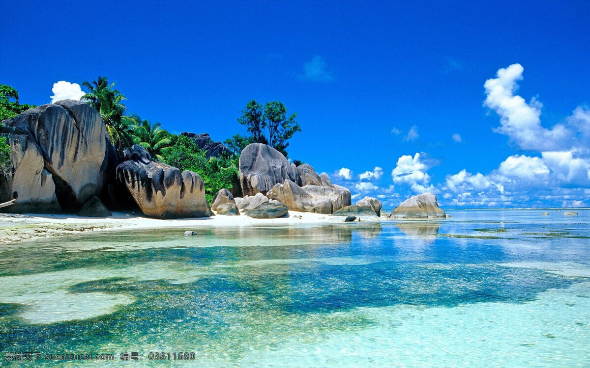 自然风景 海燕 背景 图 自然 风景 旅游 度假 夏日 凉爽 蓝色