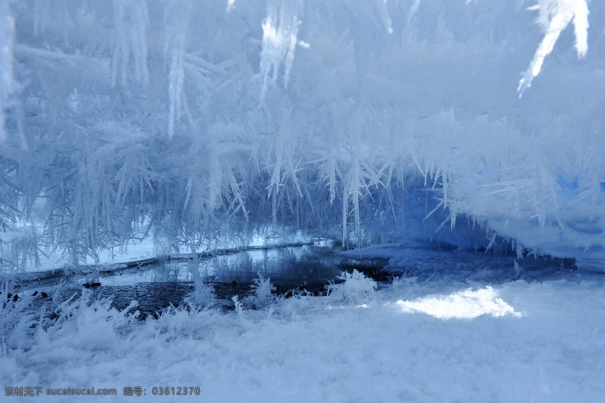 白色 冰雪 世界 风景