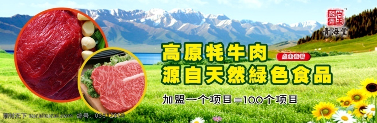 牦牛肉 banner 雪域高原 青海堂 点击查看 其他模板 网页模板 源文件