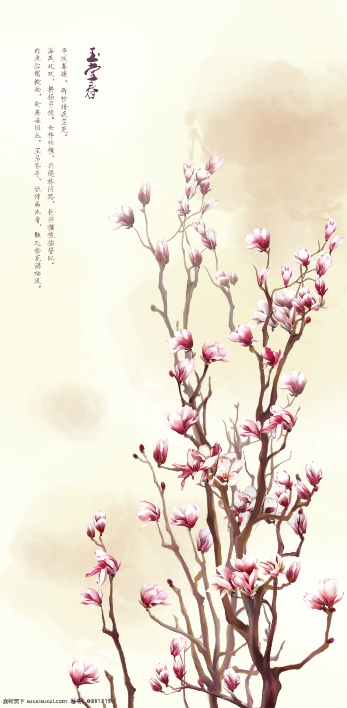 插画 古典 国画 花 兰花 手绘 水墨 玉兰素材下载 玉兰模板下载 玉兰 紫玉兰 唯美 玉兰花 木兰 玉堂春 女起解 苏三起解 原创 源文件 插画集
