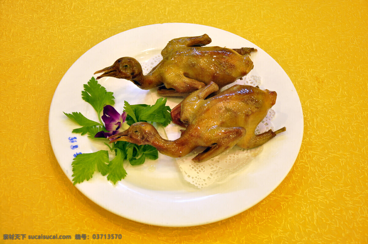 烧乳鸽 红烧乳鸽 烤乳鸽 乳鸽 特色烤乳鸽 餐饮美食 传统美食
