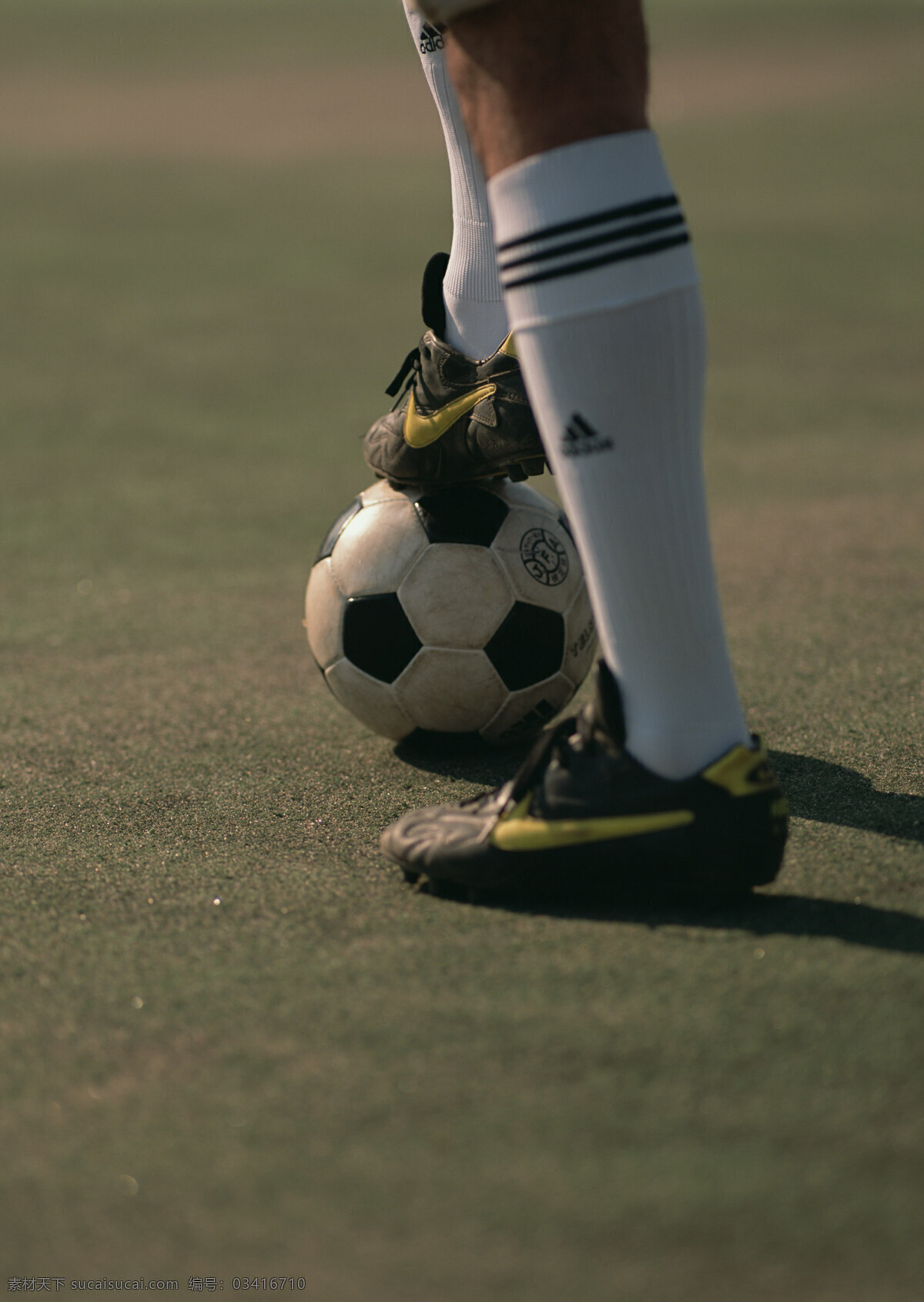 踢足球 球类运动 体育活动 体育用具 生活百科 体育用品