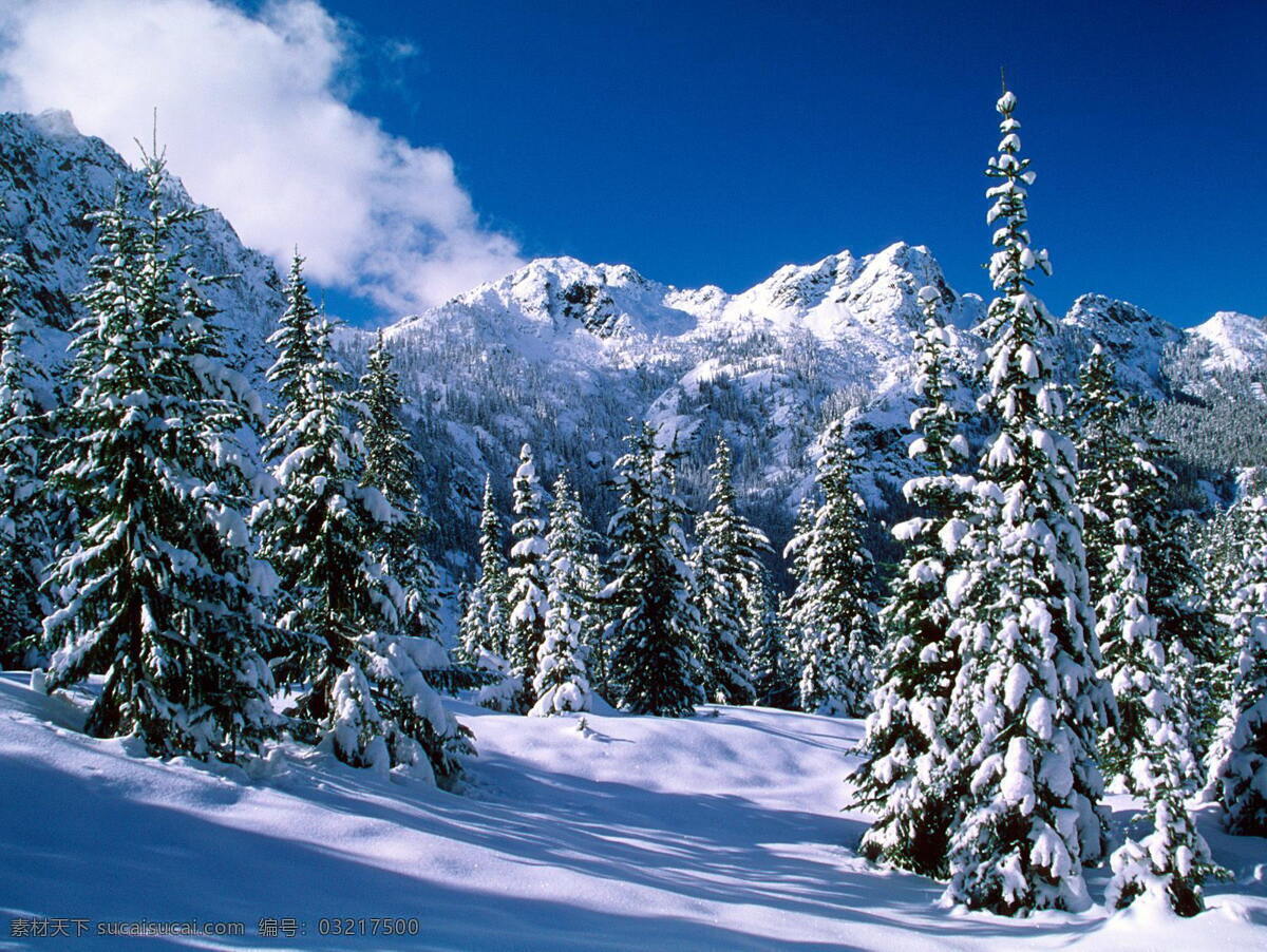 冬天雪景 冬天 雪景 山 松树 白雪 山水风景 自然景观