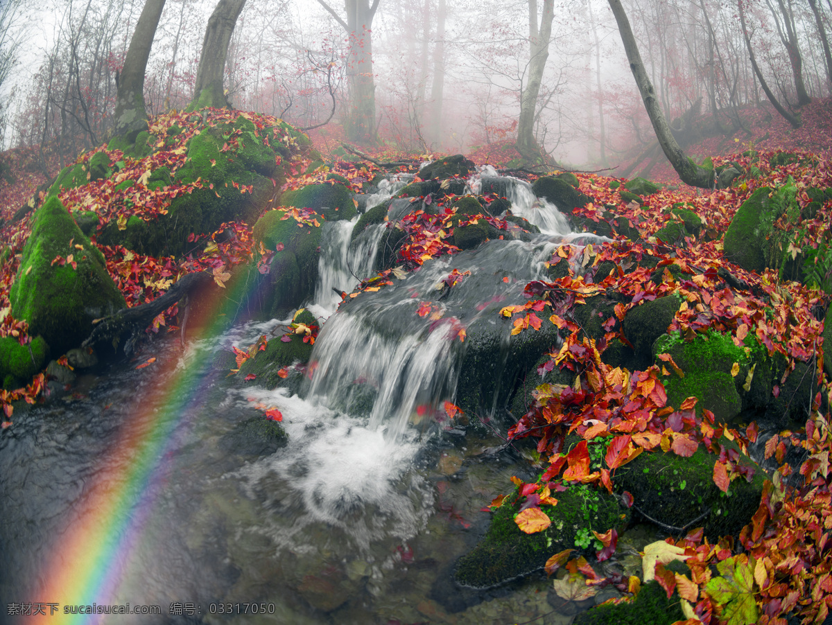 秋天 树林 小溪 瀑布 风景 树林风景 彩虹 落叶 树叶 风景摄影 美丽景色 美景 美丽风景 自然风光 山水风景 风景图片
