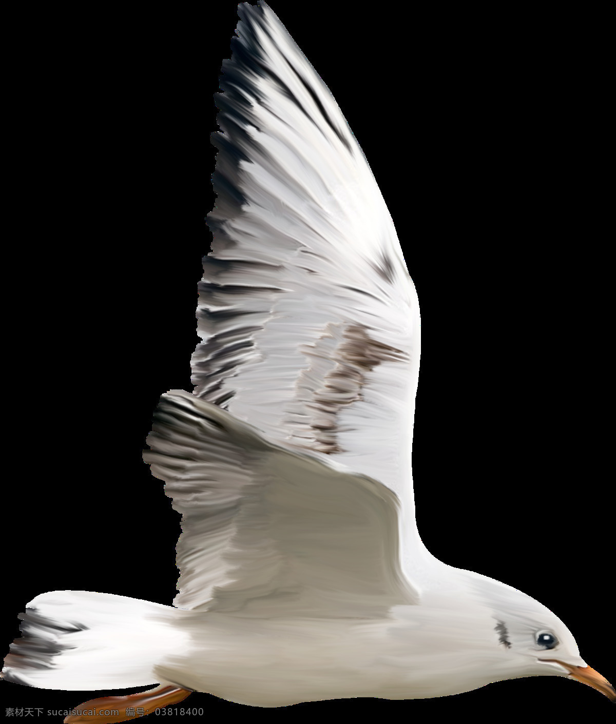 手绘 飞翔 小鸟 透明 展翅高飞 白色 翅膀 眼睛 嘴巴 透明素材 免扣素材