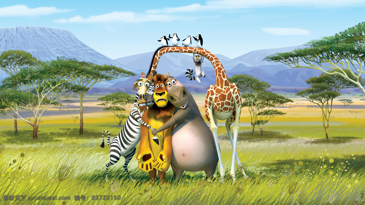 马达加斯加2 逃往非洲 狮子 斑马 长颈鹿 河马 企鹅 非洲大草原 梦工厂 动画 动画电影 dreamworks 动漫动画 动漫人物
