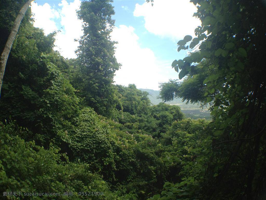 森林免费下载 白云 风景 高清 高山 蓝天 森林 树林 树木 生活 旅游餐饮