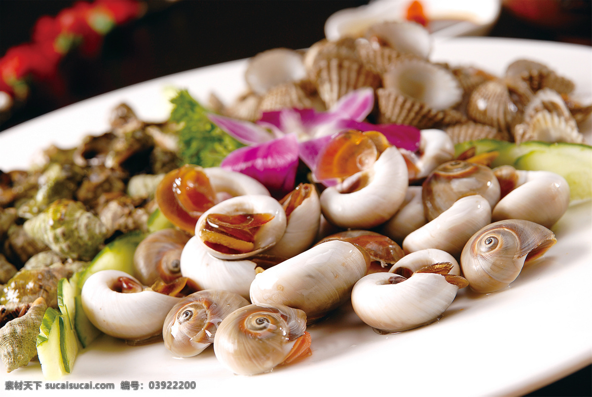 海螺拼盘 美食 传统美食 餐饮美食 高清菜谱用图