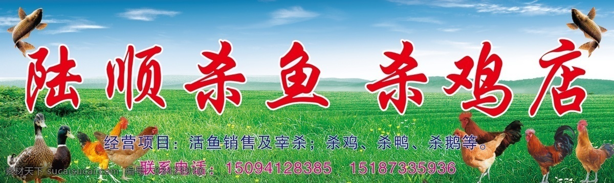 陆 杀 鱼 杀鸡 店 杀鱼店 杀鸡店 活鸡店 活鱼店 杀鸭店 杀鹅店 分层