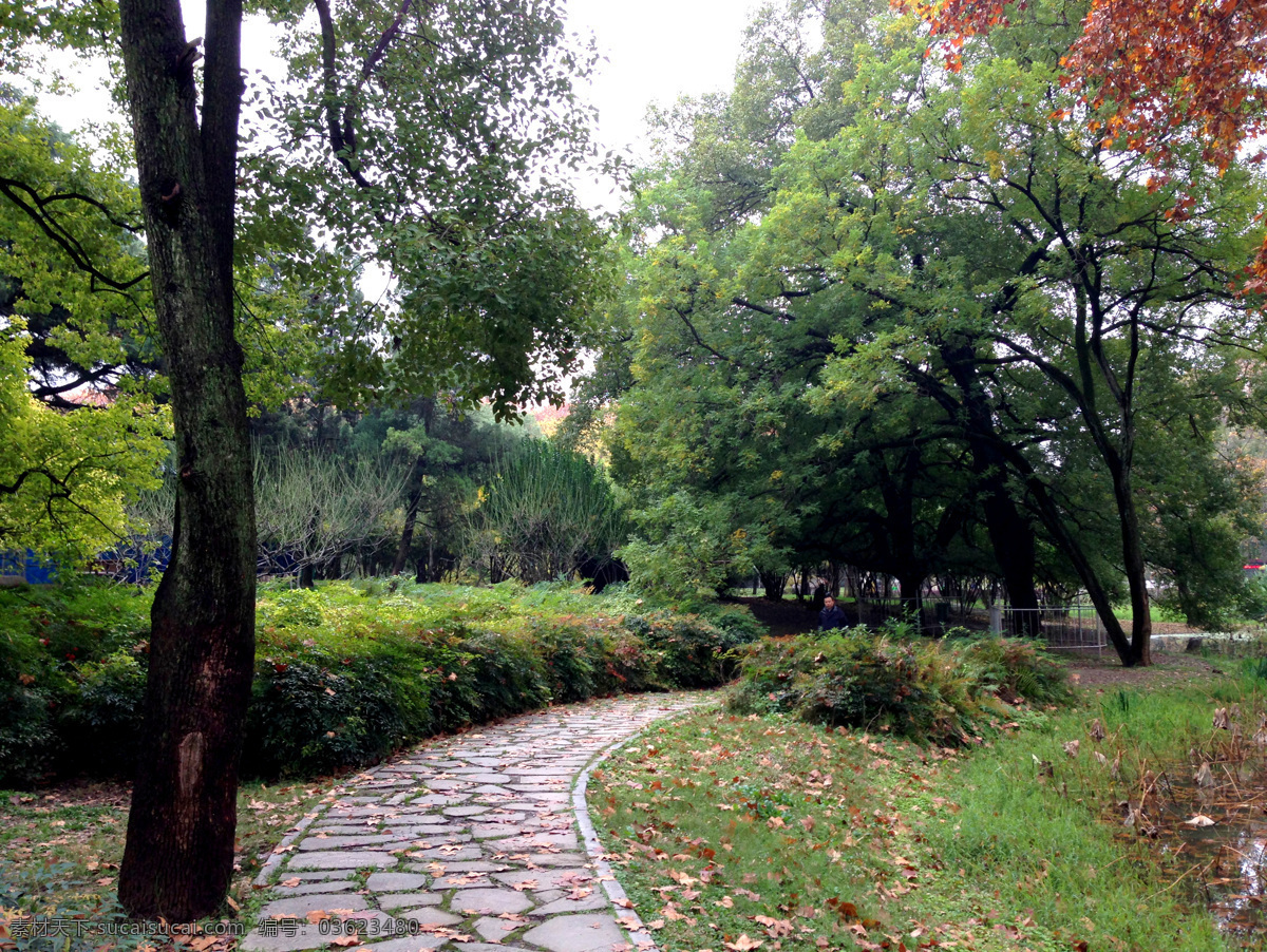 武汉解放公园 武汉 解放公园 公园 公园风景 旅游摄影 国内旅游 灰色