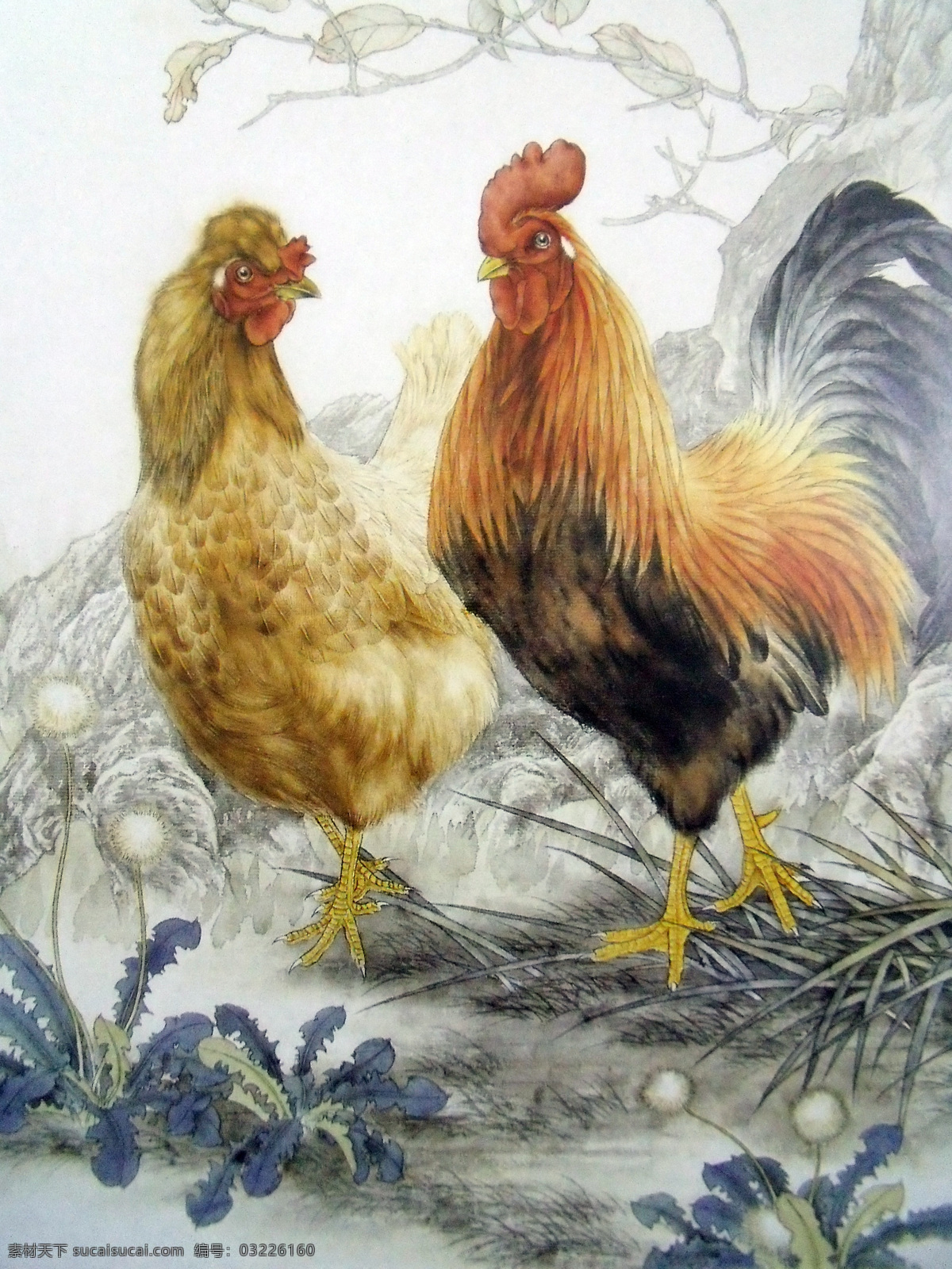 国画花鸟 公鸡 母鸡 中国工笔画 美术国画 水墨画 彩墨画 绘画书法 文化艺术