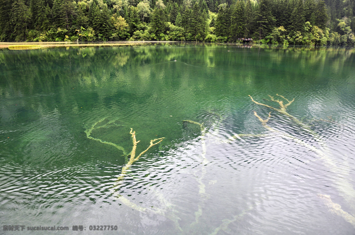 九寨沟 美景 自然 绿水 水 湖 旅游 景色 蓝色的水 水中倒影 自然景观 自然风景