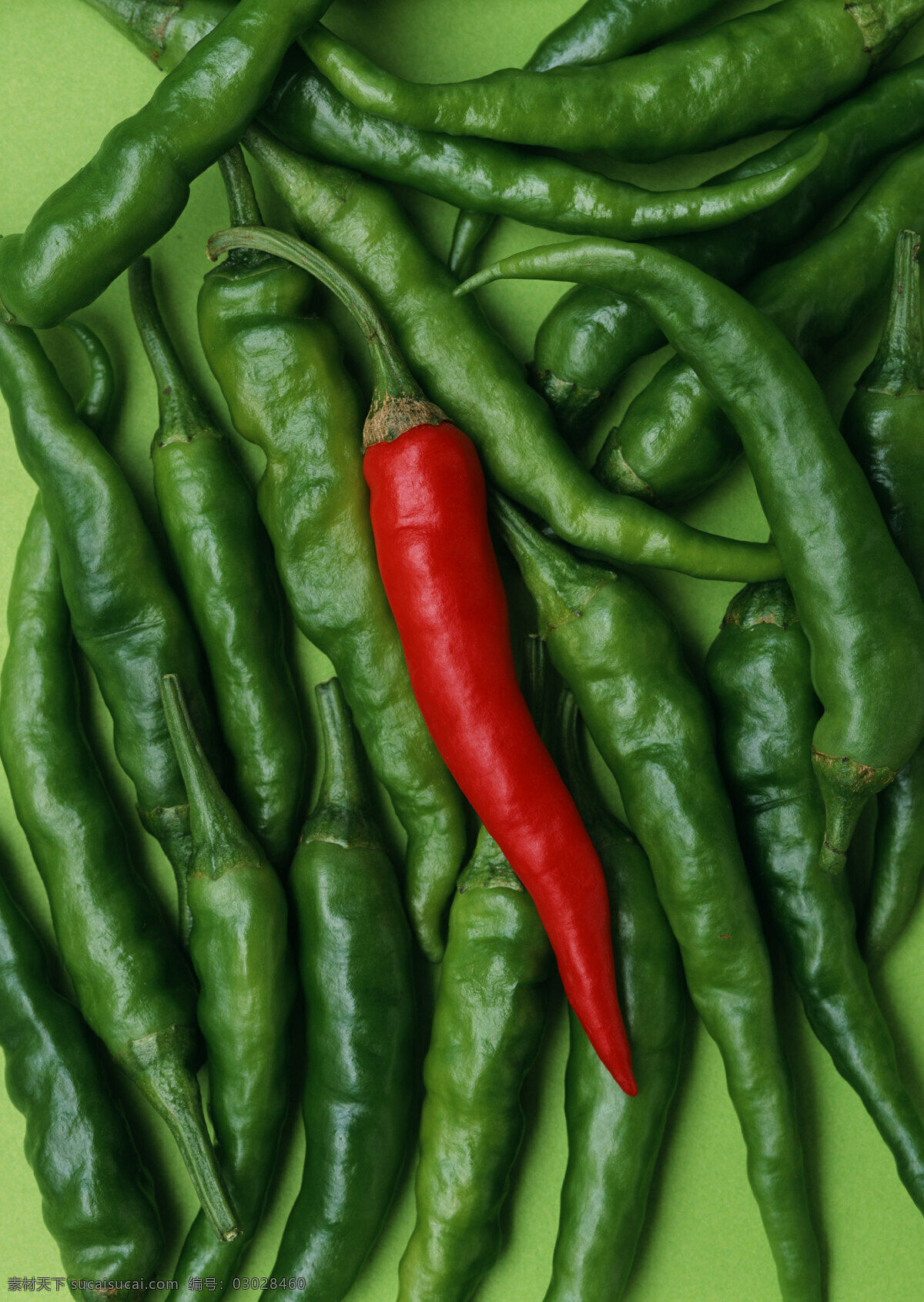 新鲜 辣椒 新鲜蔬菜 农作物 绿色食品 摄影图 高清图片 蔬菜图片 餐饮美食
