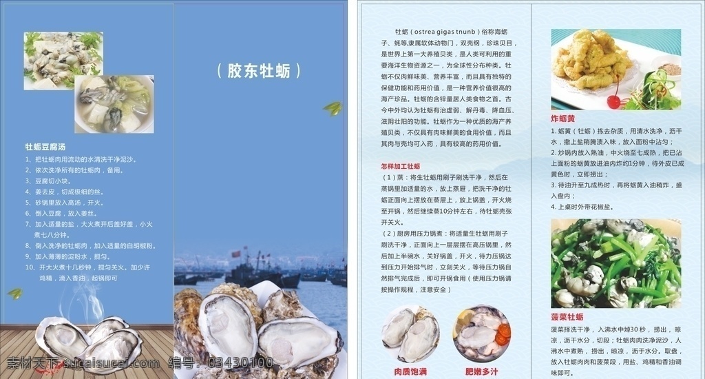 胶东牡蛎折页 胶东牡蛎 折页 海蛎子 菠菜海蛎子 诱人的海蛎子 广告