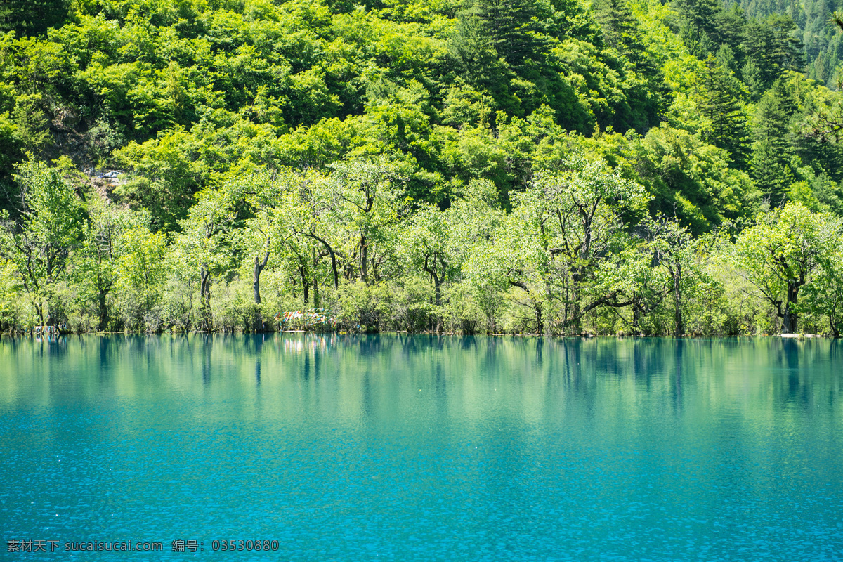 九寨沟风光 景点 山水 山水风景 山 度假 旅游 天空 风景 湖面 清新桌面背景 绿色背景 旅游背景 山水树林 明信片风景 蓝天白云 青山绿水 绿色桌面背景 高清风景图片 桌面壁纸 自然景观 自然风景 山水画图片 河流 风景图片 唯美图片 风景画 风景壁纸 山水背景素材 大自然 草原 草地 大海礁石