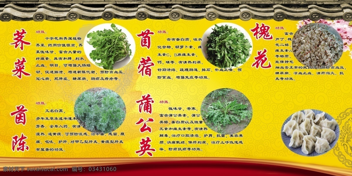 野菜 野菜简介 菜 苜蓿 饺子 野菜饺子馅 分层
