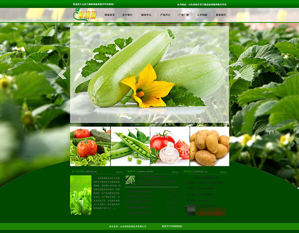绿色环保 大棚 蔬菜 种植 企业 网页模板 网页设计 网页排版 企业网站模板