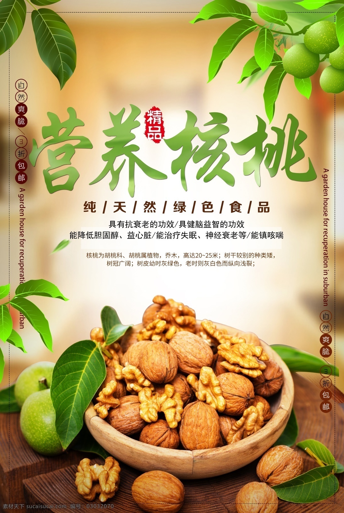美食 营养 核桃 海报 干货 坚果 坚果海报 核桃海报 干果图片 小核桃 山核桃海报 临安山核桃 核桃促销 核桃广告 山核桃坚果 山核桃包装 山核桃特产 安徽山核桃 浙江山核桃 美国山核桃 营养美食
