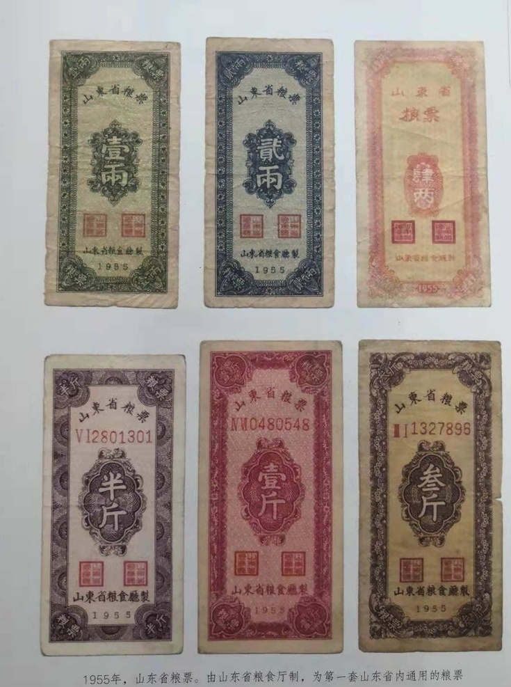 1955 年 山东省 粮票 1955年 山东 历史记忆 粮食 文化艺术 传统文化