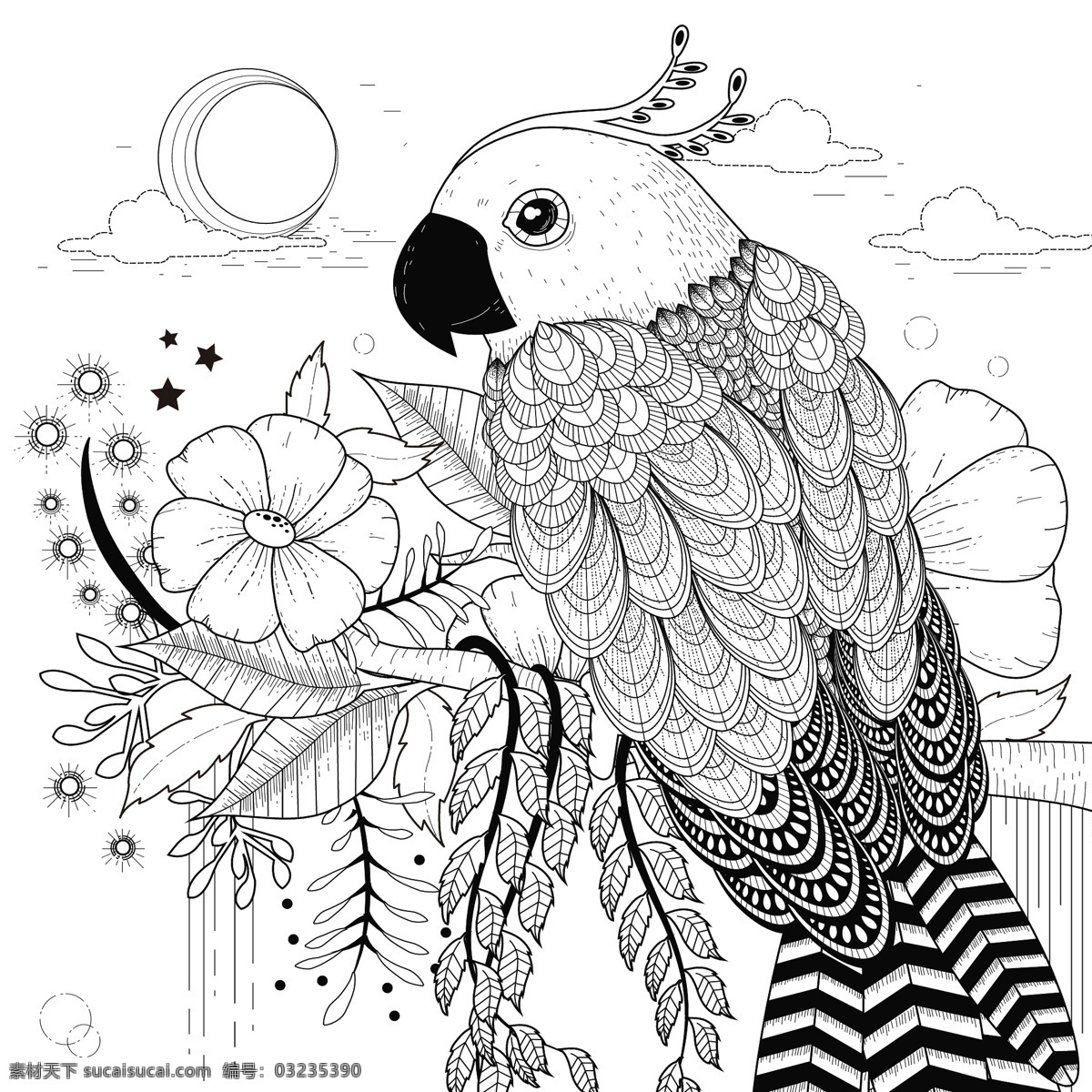 创意 卡通 鹦鹉 动物 头像 矢量 羽毛 鸟类 风景 纹身 文艺 复古 花纹 插画