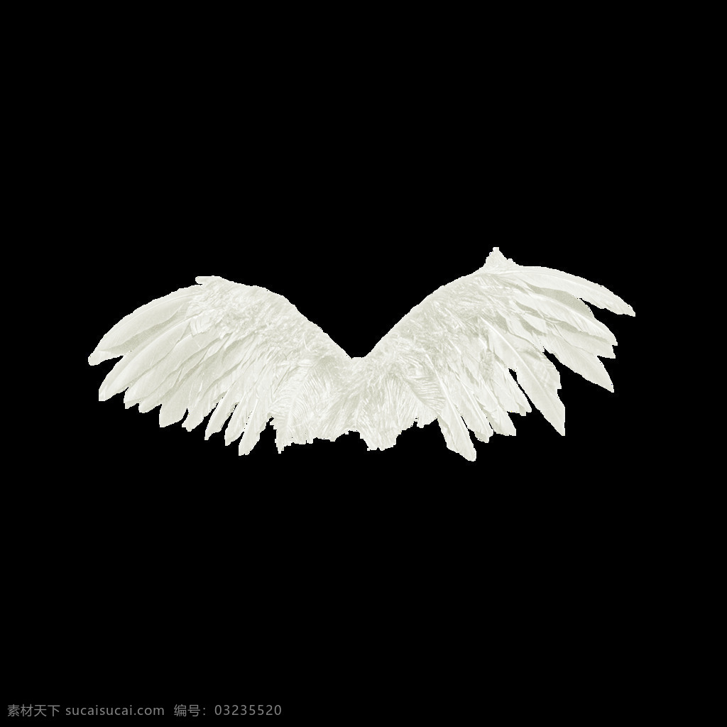 白色翅膀元素 抽象 白色 羽毛 翅膀 元素