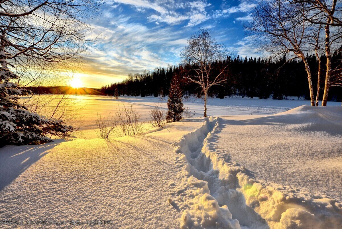 阳光下的雪景 中国 冬季 中国雪乡 东北雪乡 冬天 寒冷 雪景 雪地 旅游景点 自然风光 村庄住宅 居住区 商铺店铺 街道街景 红灯笼 雪乡房屋 黑龙江 冬 自然景观 自然风景