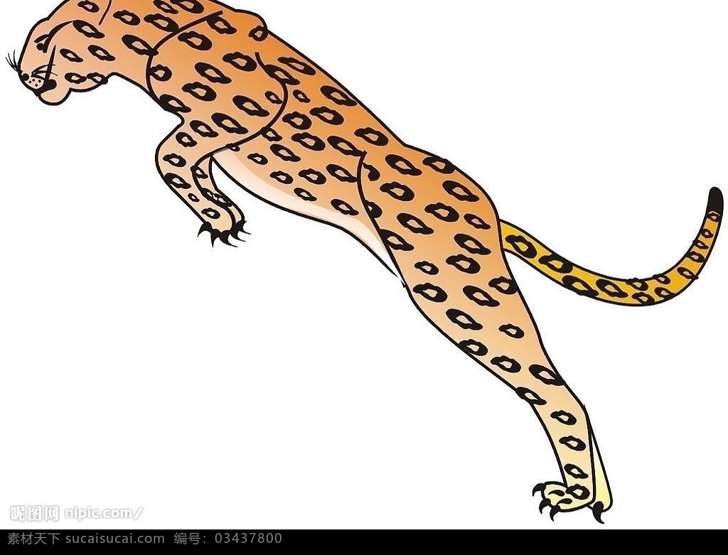 飞豹 豹 其他矢量 矢量素材 矢量图库 生物世界 野生动物