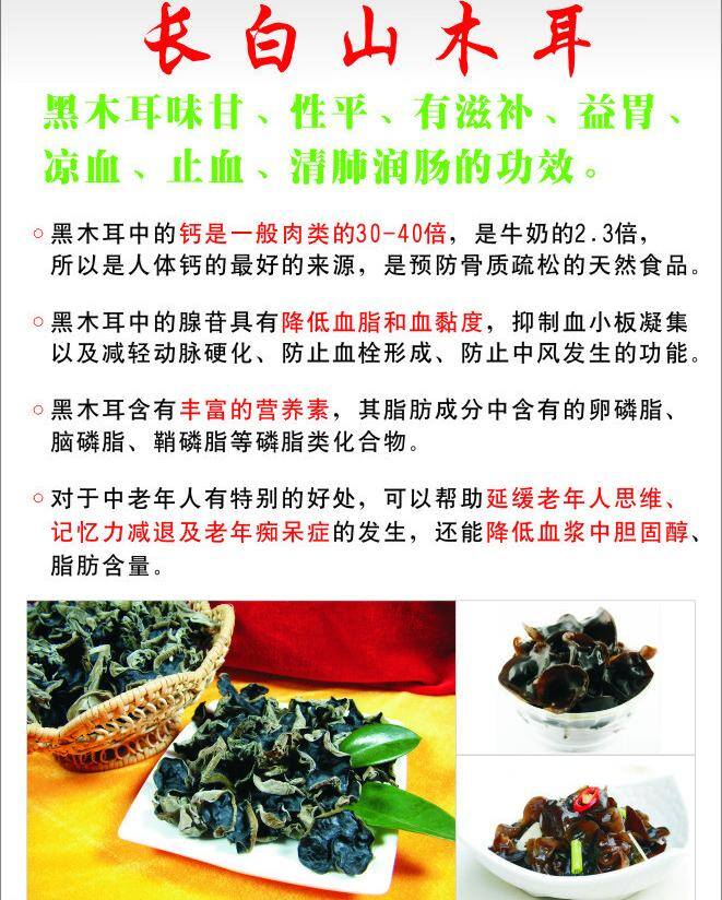 长白山 木耳 餐饮美食 传统美食 健康 生活百科 特点 医疗保健 长白山木耳 功效 矢量 海报 其他海报设计