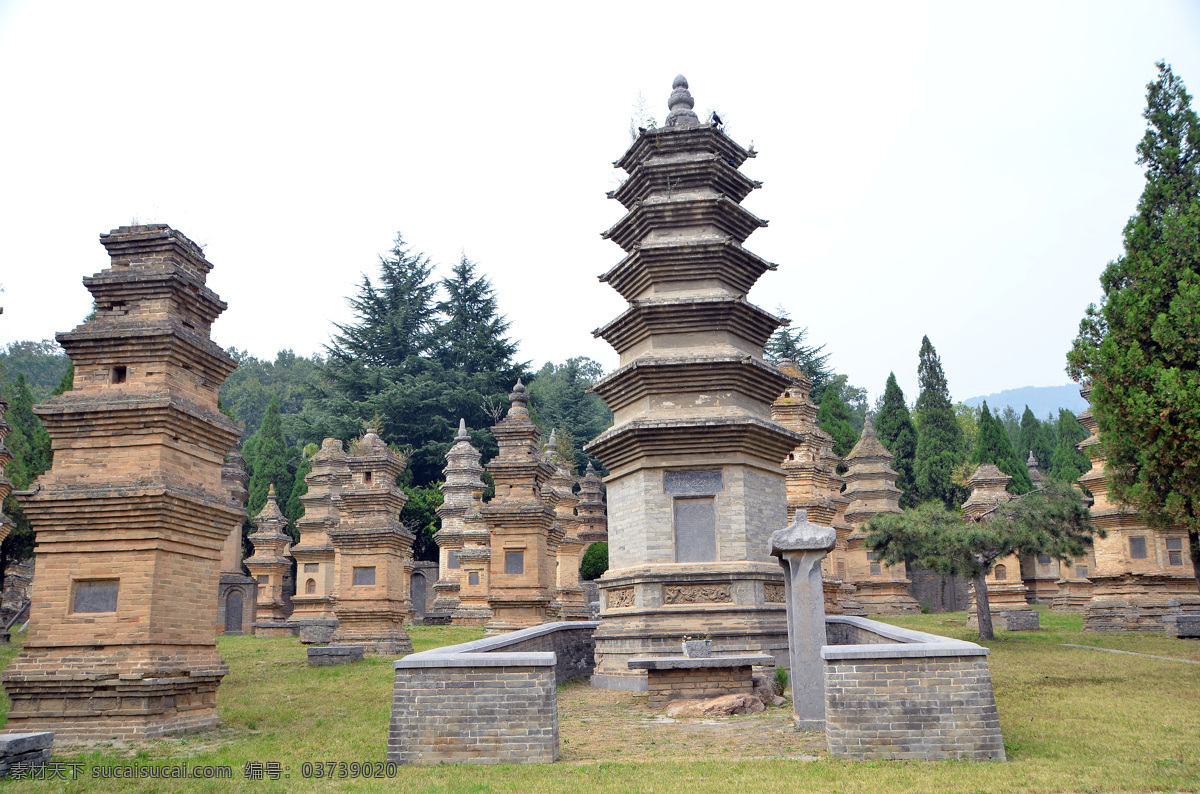 少林寺塔林 塔林 墓塔 祖茔 砖石塔 唐塔 宋塔 金塔 明塔 八角形塔 六角形塔 圆形塔 嵩山 少林寺 少室山 佛教文化 松树 松柏 树木 绿树 草地 绿草 河南省 登封市 中原文历史 嵩山少林寺 文化艺术 宗教信仰