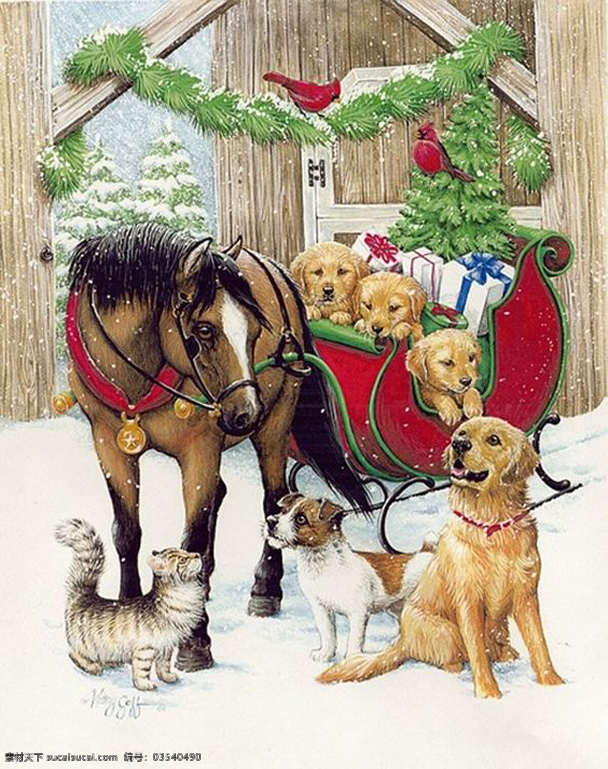 宝马拉金毛 冬天里的宝马 宝马拉车 圣诞车 金毛 犬 小狗 雪景 自然景观 自然风光