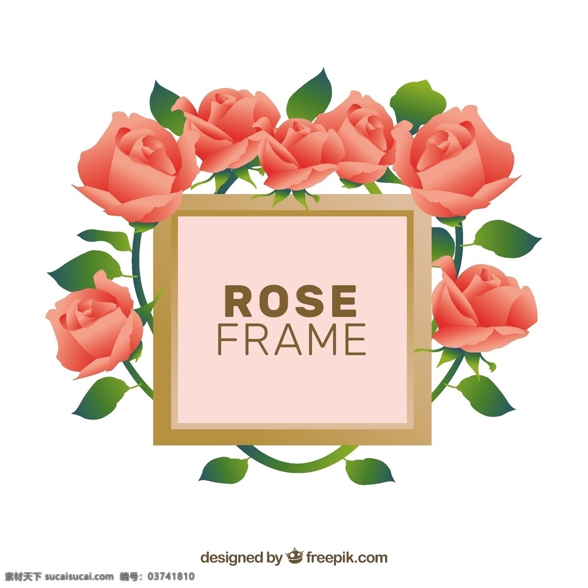玫瑰花 边框 架 装饰 图案 玫瑰 花边框架 装饰图案