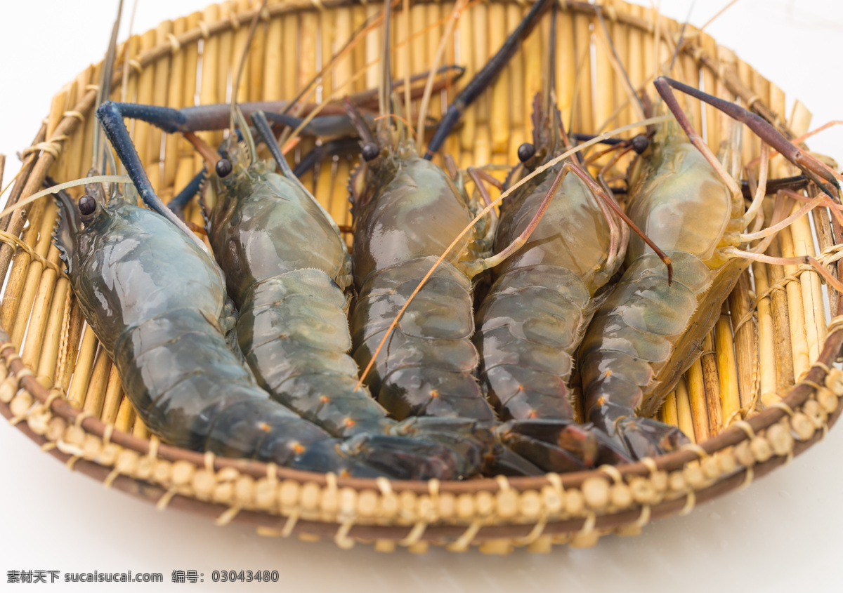 罗氏虾图片 罗氏虾 白脚虾 马来西亚大虾 金钱虾 万氏对虾 水产 虾