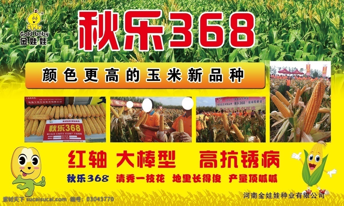 秋乐368 秋乐 金娃娃 玉米种 玉米地 红轴大棒 卡通玉米 金娃娃种业 秋乐玉米种 招贴设计