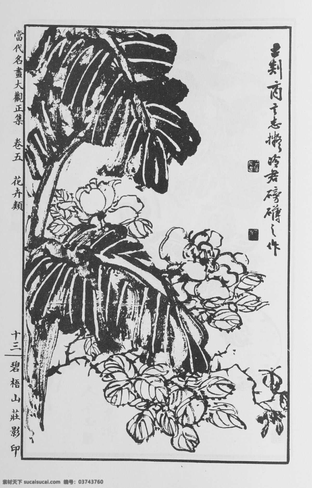 花卉画 中国画 当代 名画 大观 正 集 设计素材 花鸟画篇 中国画篇 书画美术 灰色