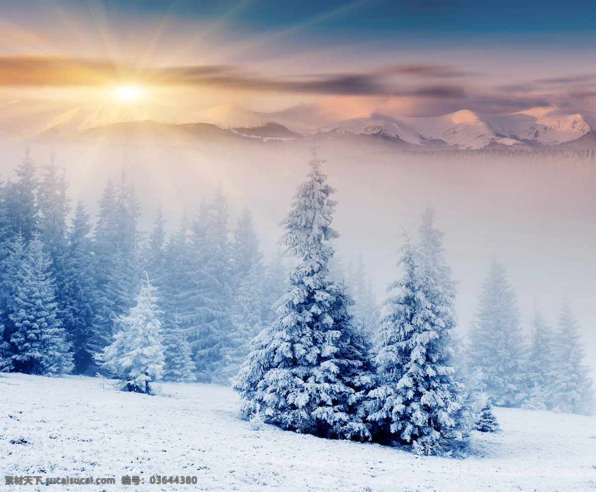 冬季日落雪景 冬季 雪景 美丽雪景 山上雪景 树木 雾淞 夕阳 自然风景 自然景观