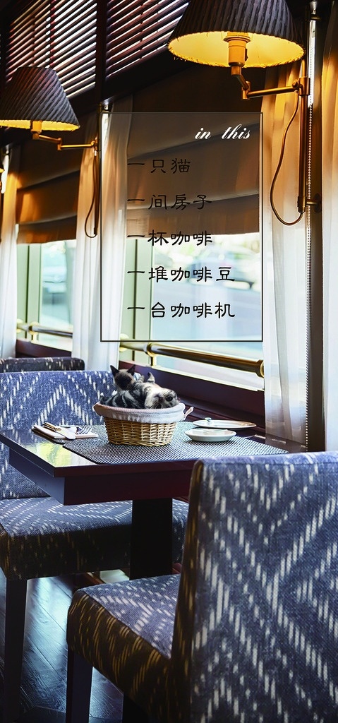 猫 咖啡店 海报 安静 座位 窗外 宣传海报 猫咪海报 易拉宝展架 分层